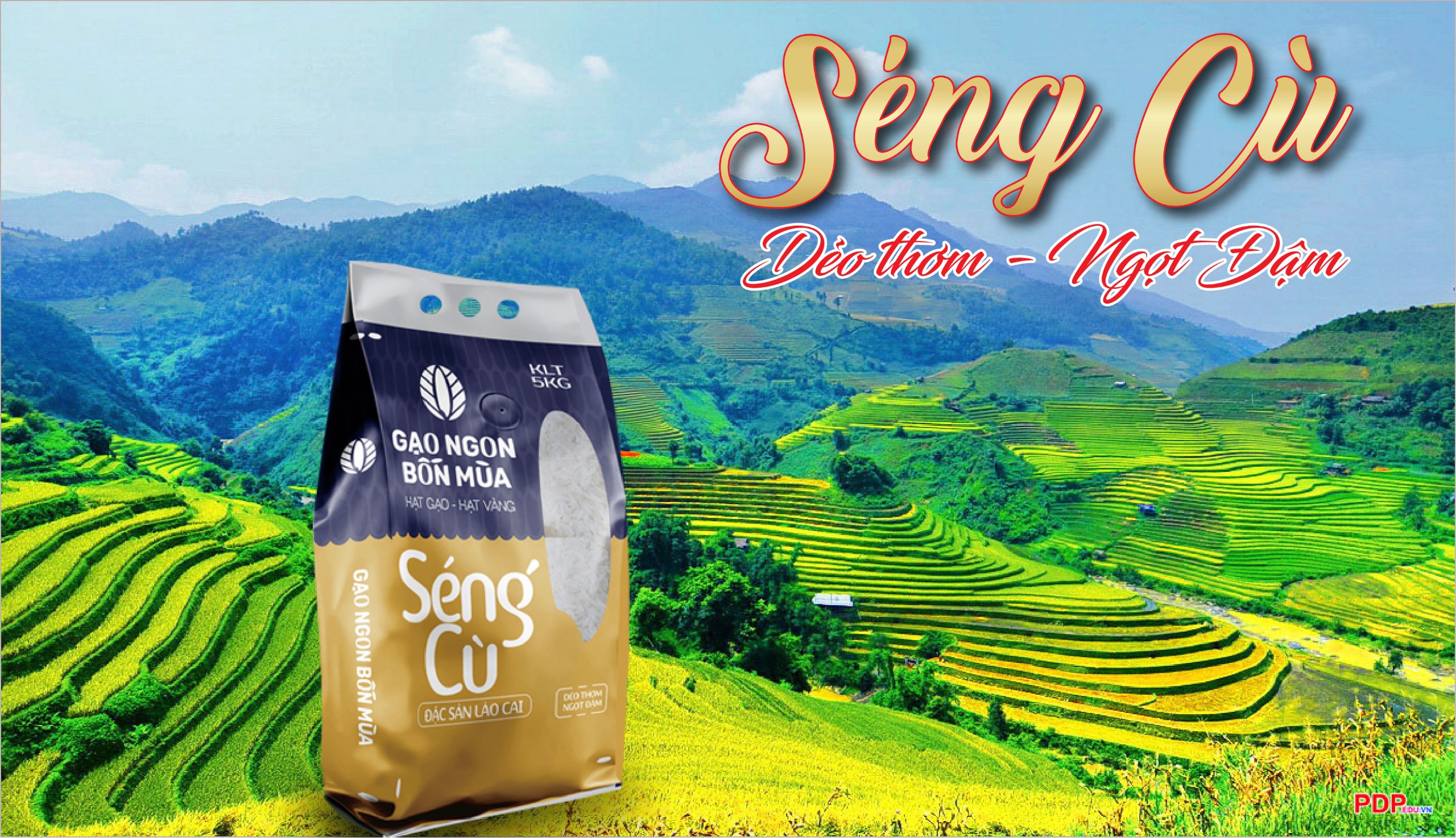 GẠO THƯỢNG HẠNG