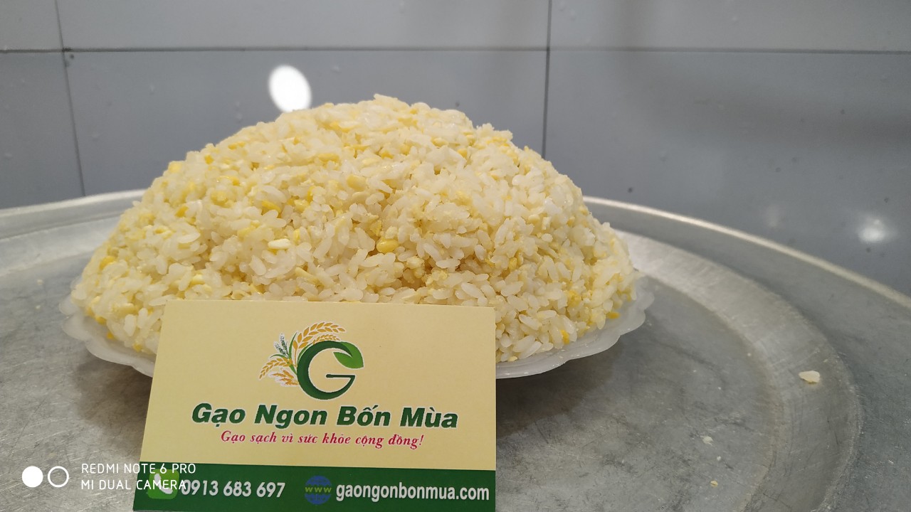 https://gaongonbonmua.com/public/xôi-đậu-xanh