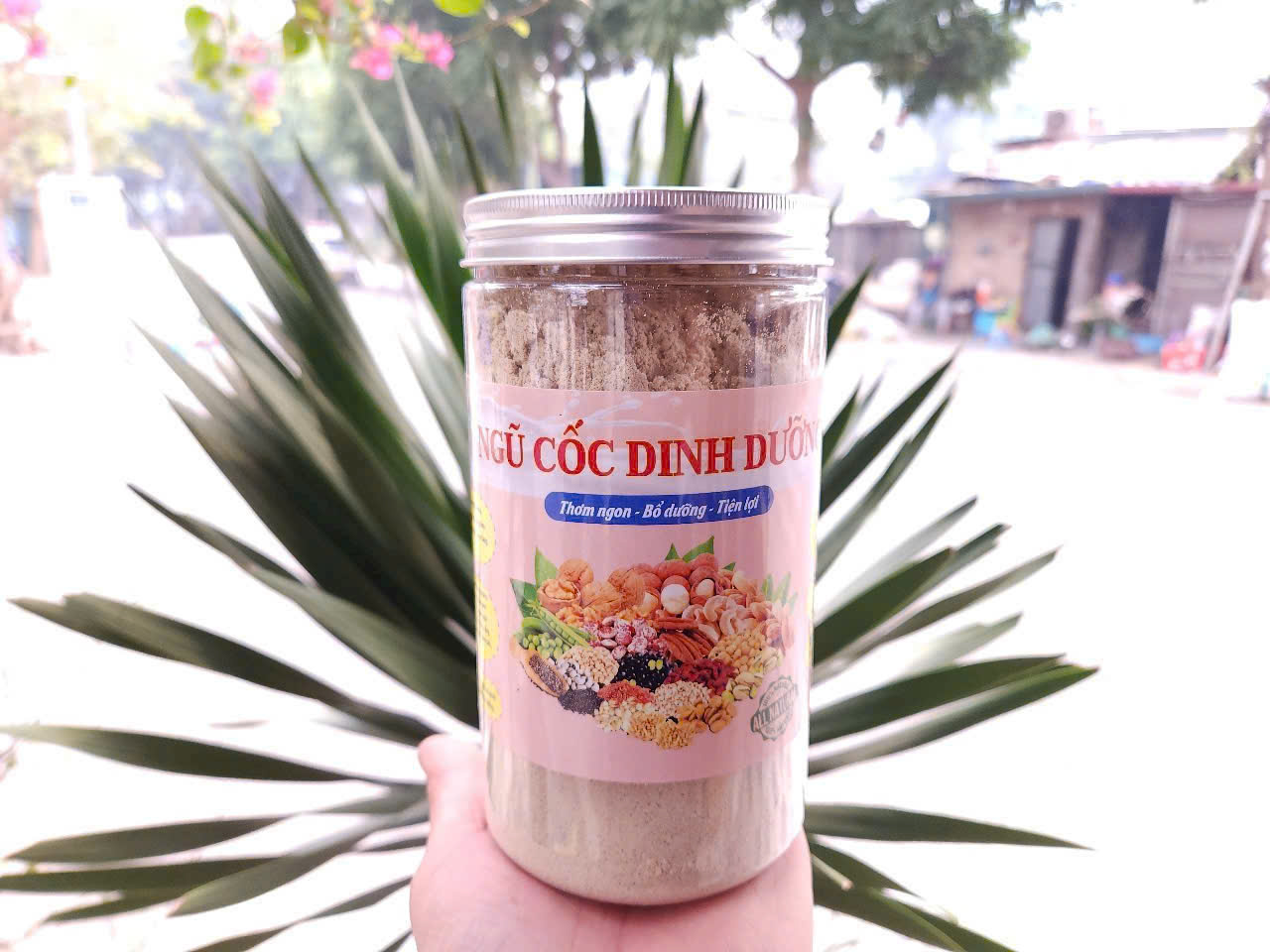 NGŨ CỐC DINH DƯỠNG