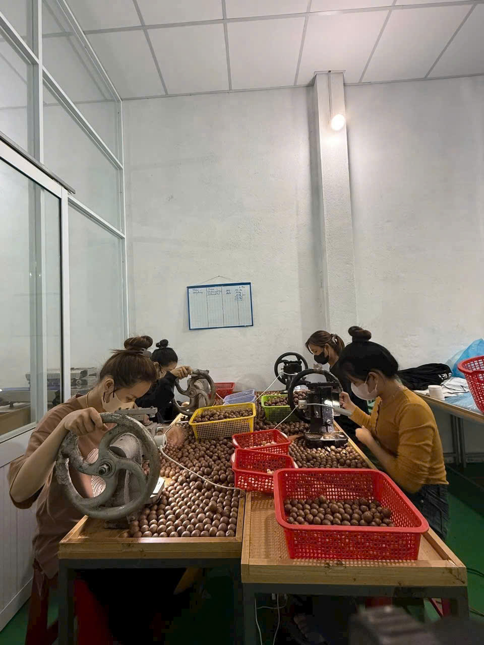 https://gaongonbonmua.com/z6966819577360_11db7804edebcfe9b67dd80572032f19