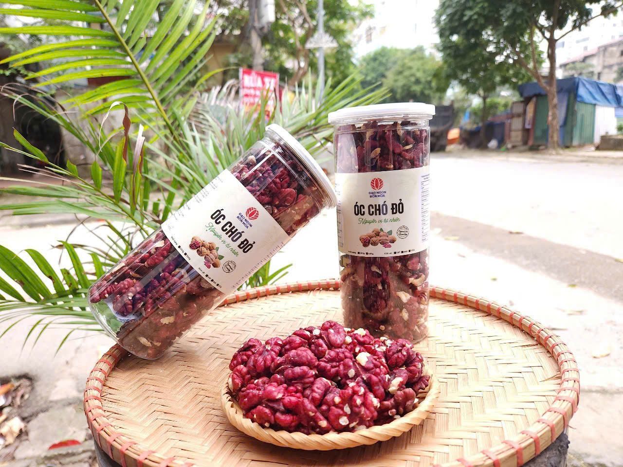 NHÂN ÓC CHÓ ĐỎ