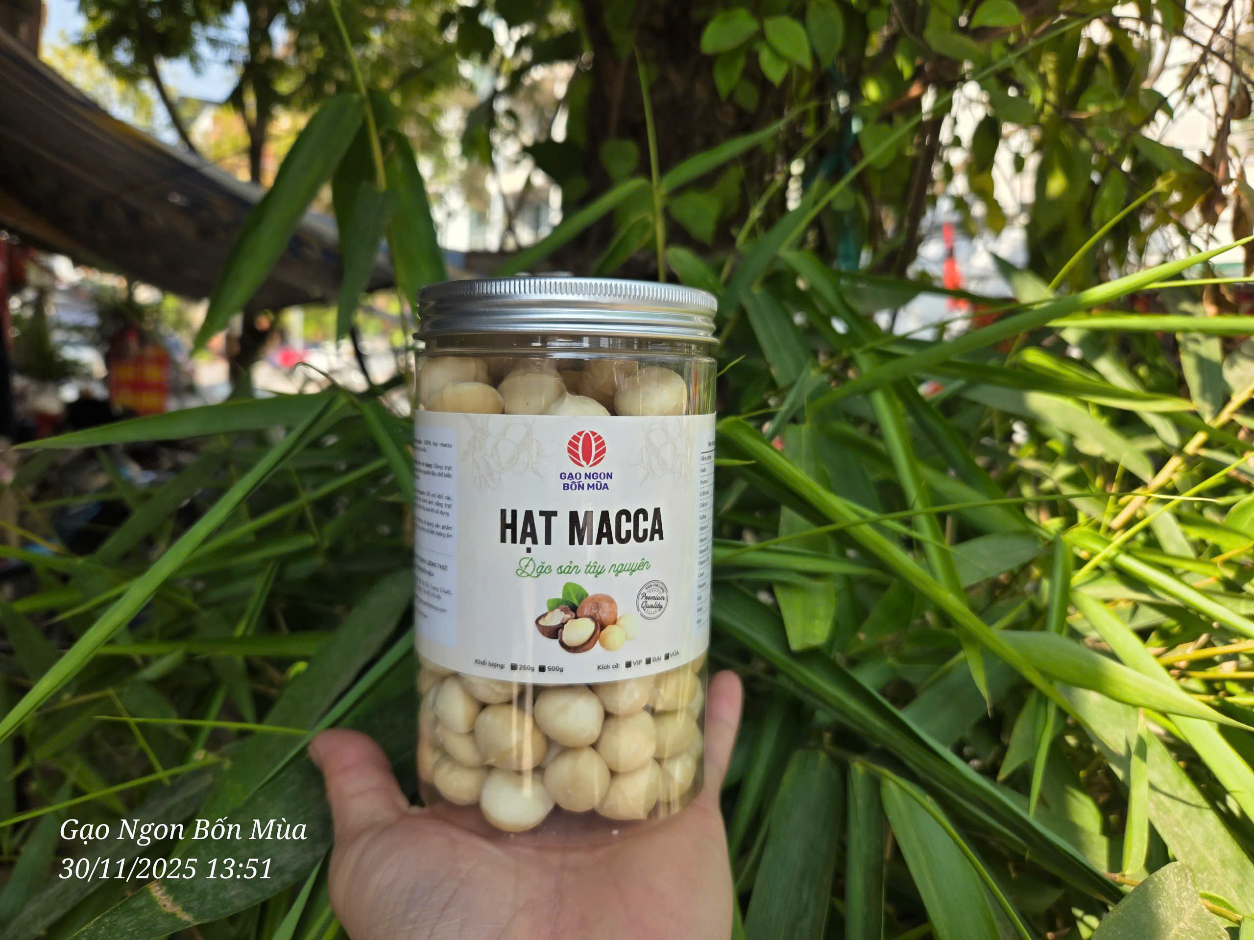 NHÂN HẠT MACCA